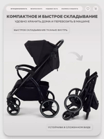 Коляска прогулочная Rant Basic Alpine Black 2026