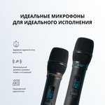 Беспроводные микрофоны для караоке SE • 200D