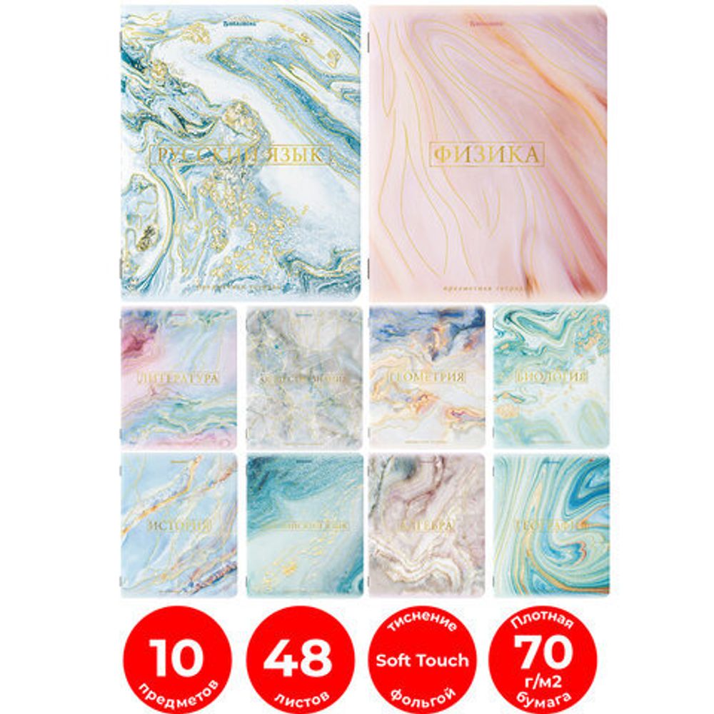 Тетради предметные, КОМПЛЕКТ 10 ПРЕДМЕТОВ, "PASTEL", 48 л., SoftTouch, фольга, 70 г/м2, BRAUBERG, 404031