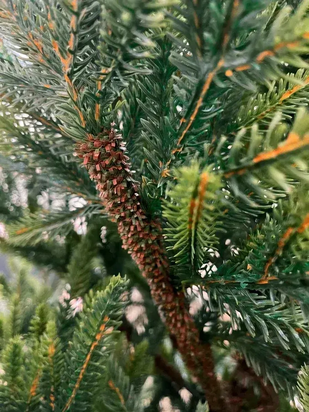 Искусственная ель Королевская стройная зеленая 155 см., 100% литая, TDL (70026)