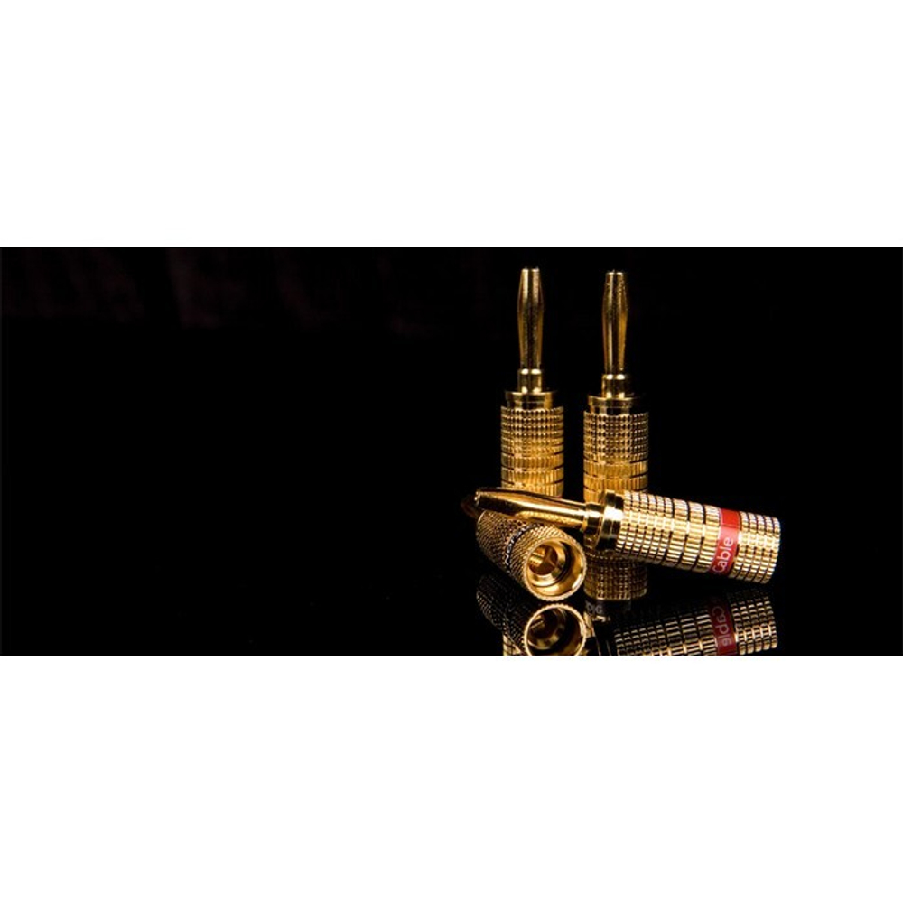 NorStone Banana Plugs, gold, пружинные разъемы для акустического кабеля (4 шт.) (NORBANX4)