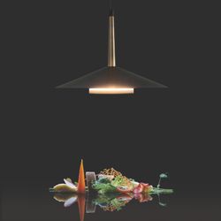 7305 Подвесной светильник ORION