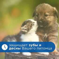 Жидкость для полости рта Стоп Проблема для собак и кошек, 100мл