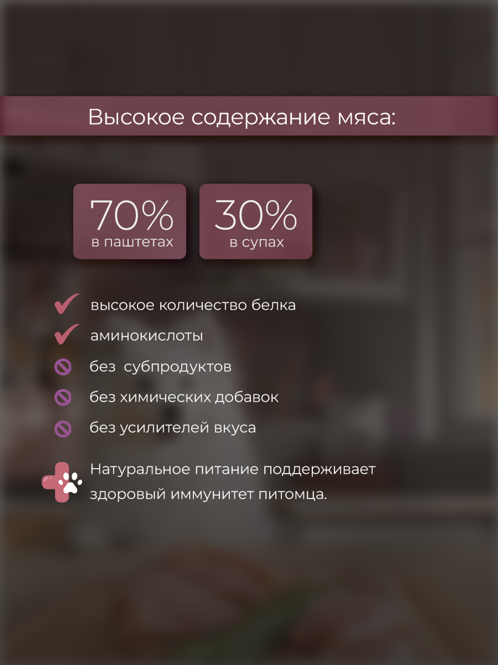 НАБОР Консервы DELISH Super Premium для собак с индейкой и гречкой (паштет) - 10 шт х 80 гр