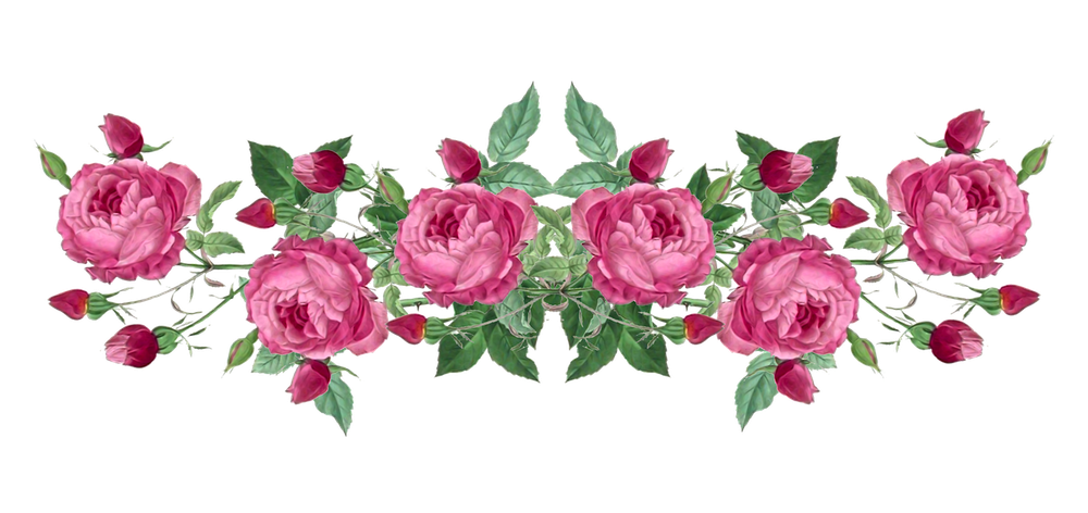 Товар с вариантами и опциями