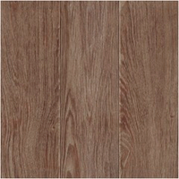 Aragon natural PG 03 v2 450х450 (1-й сорт)