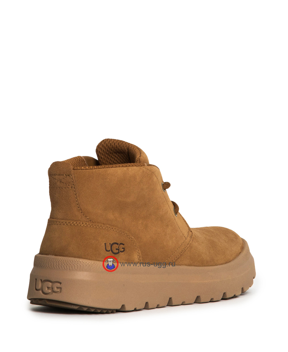 MENS BURLEIGH CHUKKA Chestnut