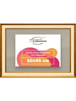 Рамка для постера и фотографий 50x95