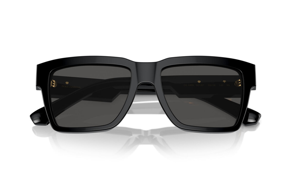 Dolce & Gabbana DG4465 501/87