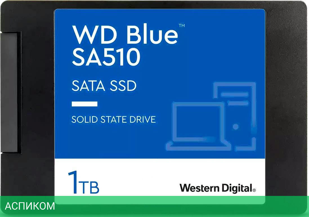SSD диск WD Blue SA510 1TB (WDS100T3B0A)