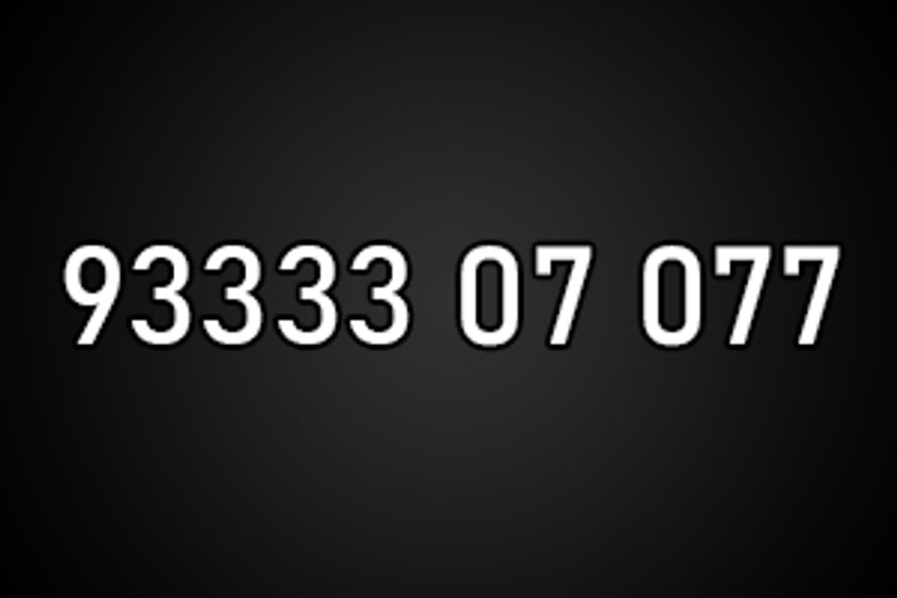 9333307077