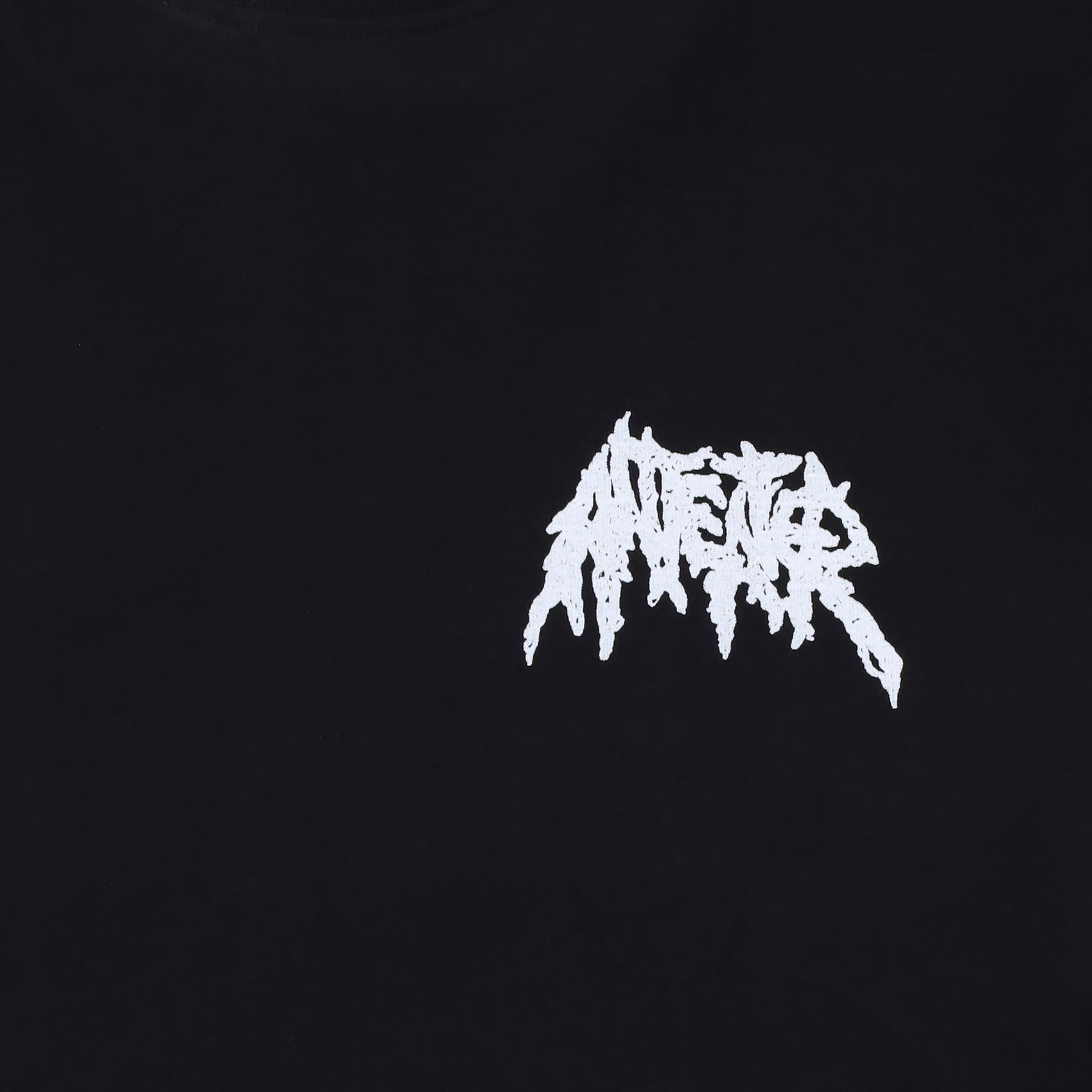 Футболка Anteater Tee 385 head (black) артикул: - купить в магазине Дайс