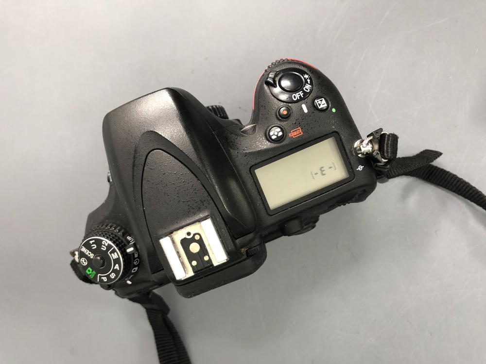 Nikon D600 (32.000 кадров)