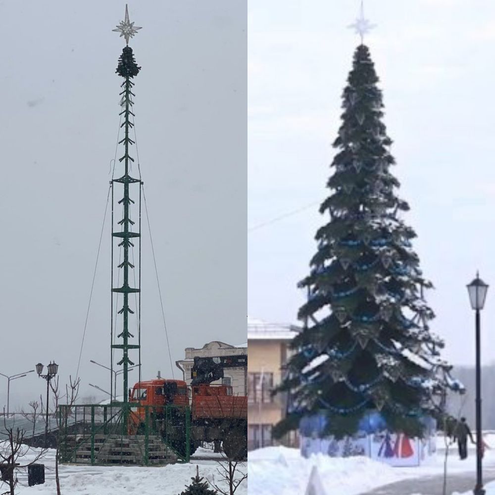 ель уличная "таежная"