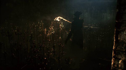 Bloodborne. Game of the Year Edition (диск для PS4, интерфейс и субтитры на русском языке)
