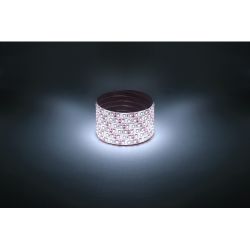 Светодиодная лента ЭРА LS2835-9,6-120-12-6500K-IP65-1 year-5m холодный белый 1 год