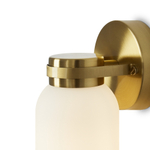 Настенный светильник Freya Kamelia FR5446WL-01BS