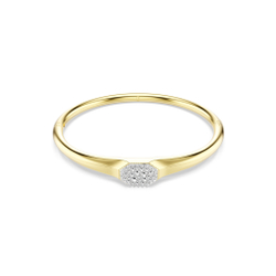DEXTERA:BANGLE TAG CRE/GOS L