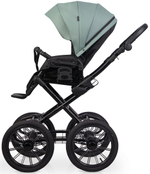 Детская коляска Riko Basic Montana X Ecco Prestige 2 в 1 21 Green (зеленый)