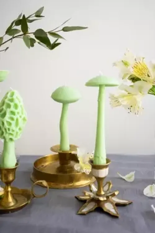 Свеча Unification Love Подберезовик салатовый (Дерево и ваниль)