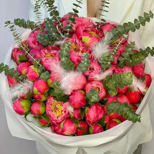 Монобукет из 51 пиона Коралл Шарм c эвкалиптом и пёрышками. Монобукет 040 Chalet Green