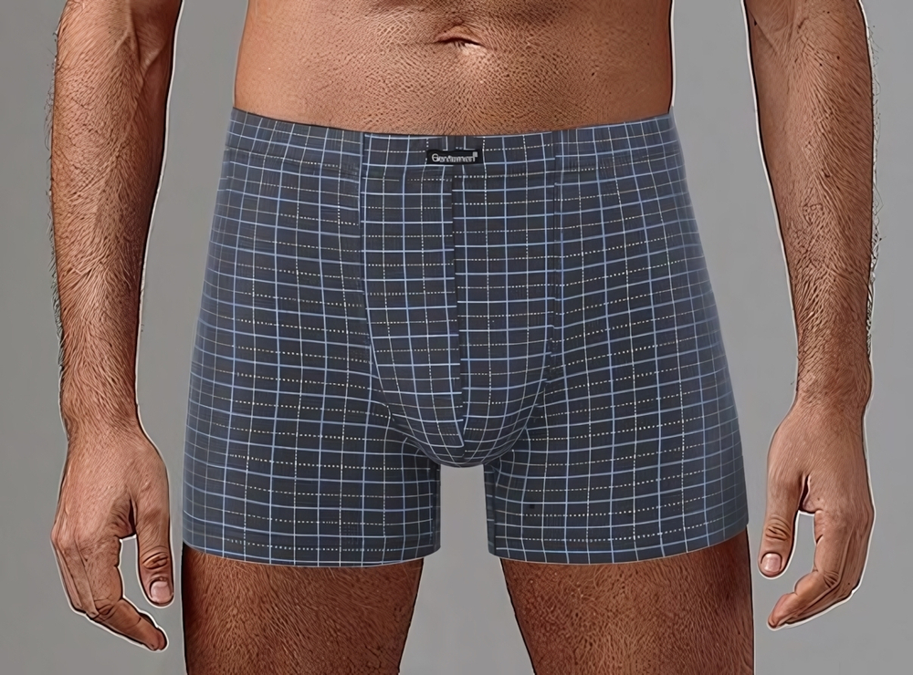 Клетчатые мужские боксеры (Размер: L) (Цвет: бежевый)