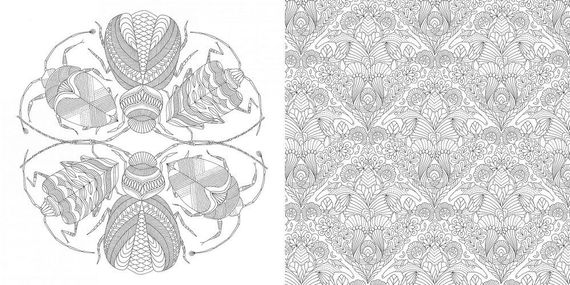 Божественные создания. Золотая коллекция любимых иллюстраций