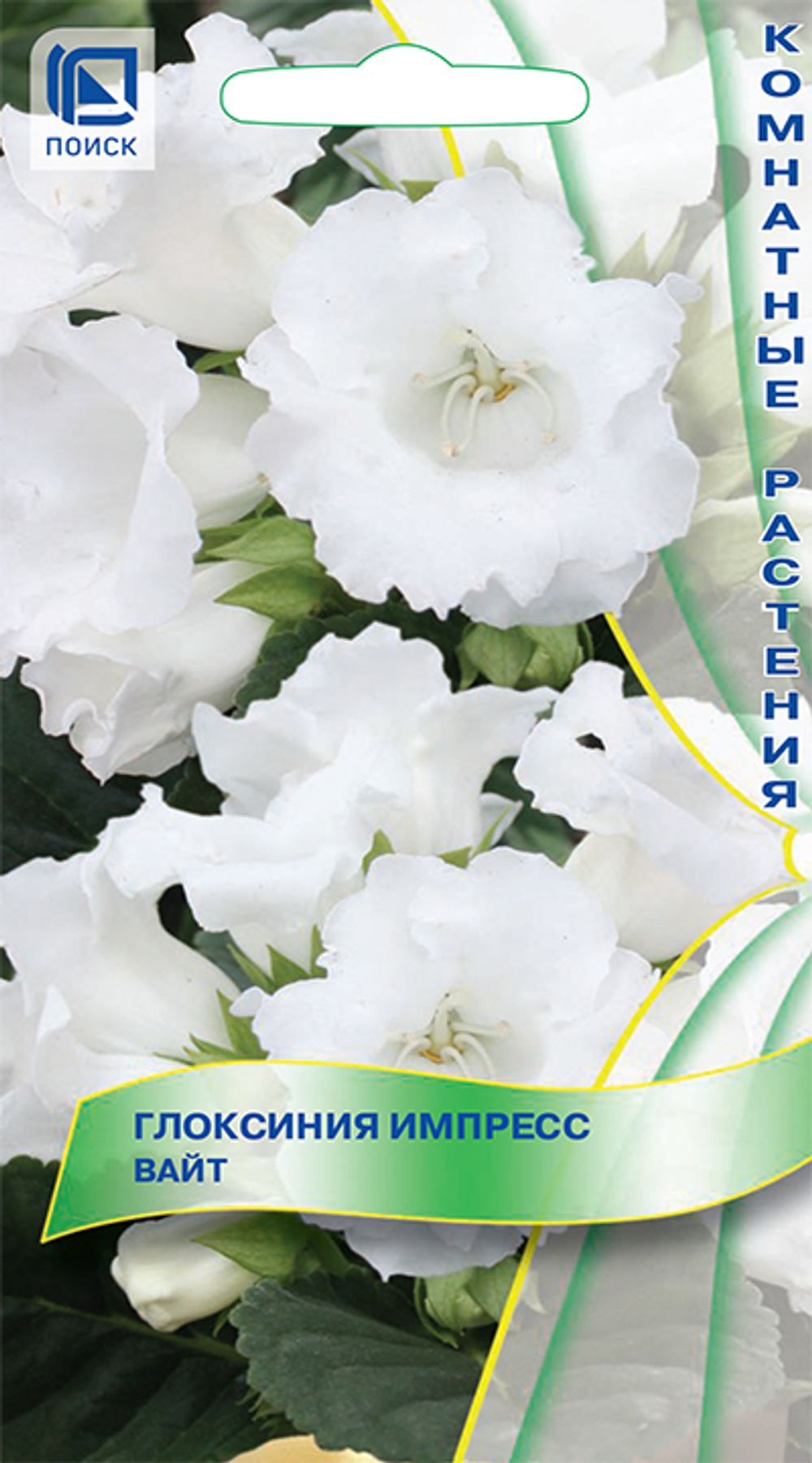 Глоксиния Импресс Вайт