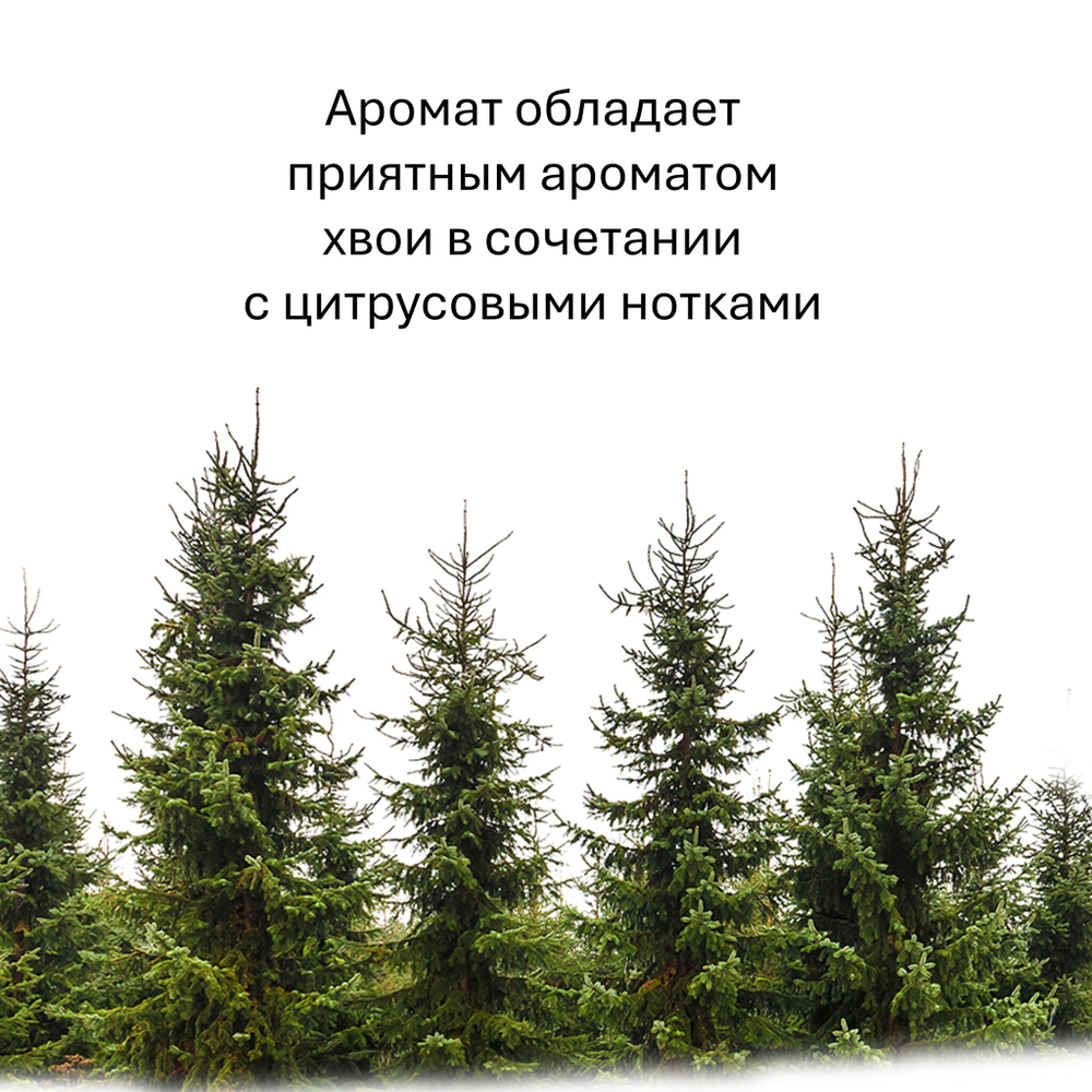 Хвойный лес, кубики восковые для ароматизации, 10 штук