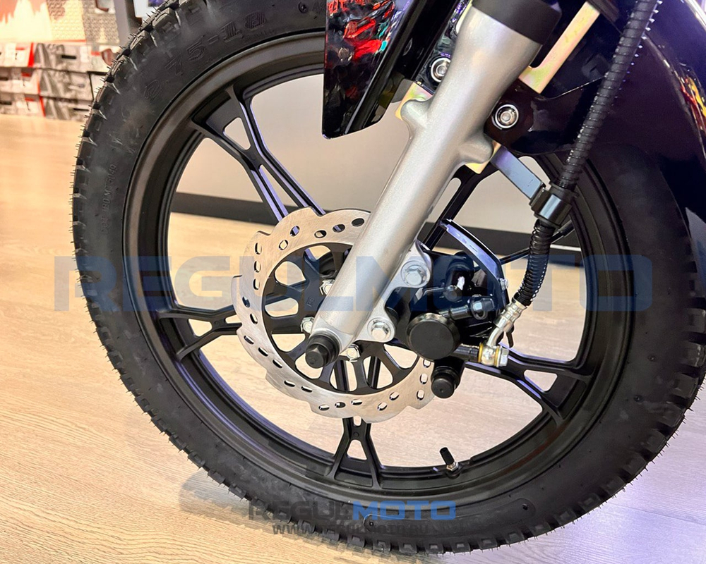 Мотоцикл Regulmoto SK200-6 с ПТС