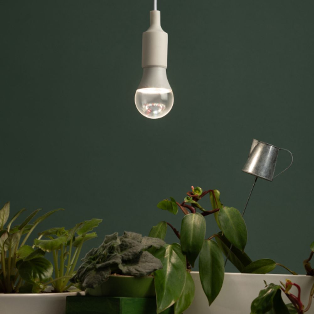 Фитолампа для растений светодиодная ЭРА GREEN LINE ФИТО A65-20W-PFR-E27-GR полного спектра 20 Вт Е27 | Фитолампы Е27