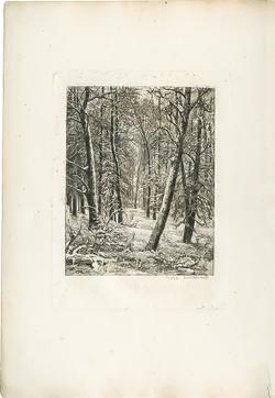 Шишкин Иван Иванович. Зима. Бумага, офорт. 1885–1891 гг.