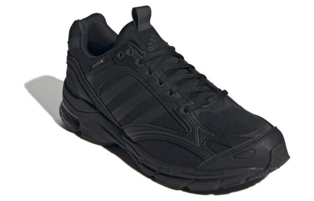 Кроссовки Adidas Spiritain 2000 Gtx