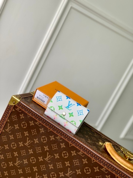 Louis Vuitton Victor Wallet