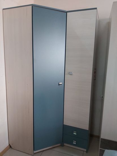 сосна астрид / маренго реальное фото