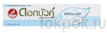 Зубная паста с травами "Свежесть и прохлада" Twin Lotus Fresh&Cool, 40 гр