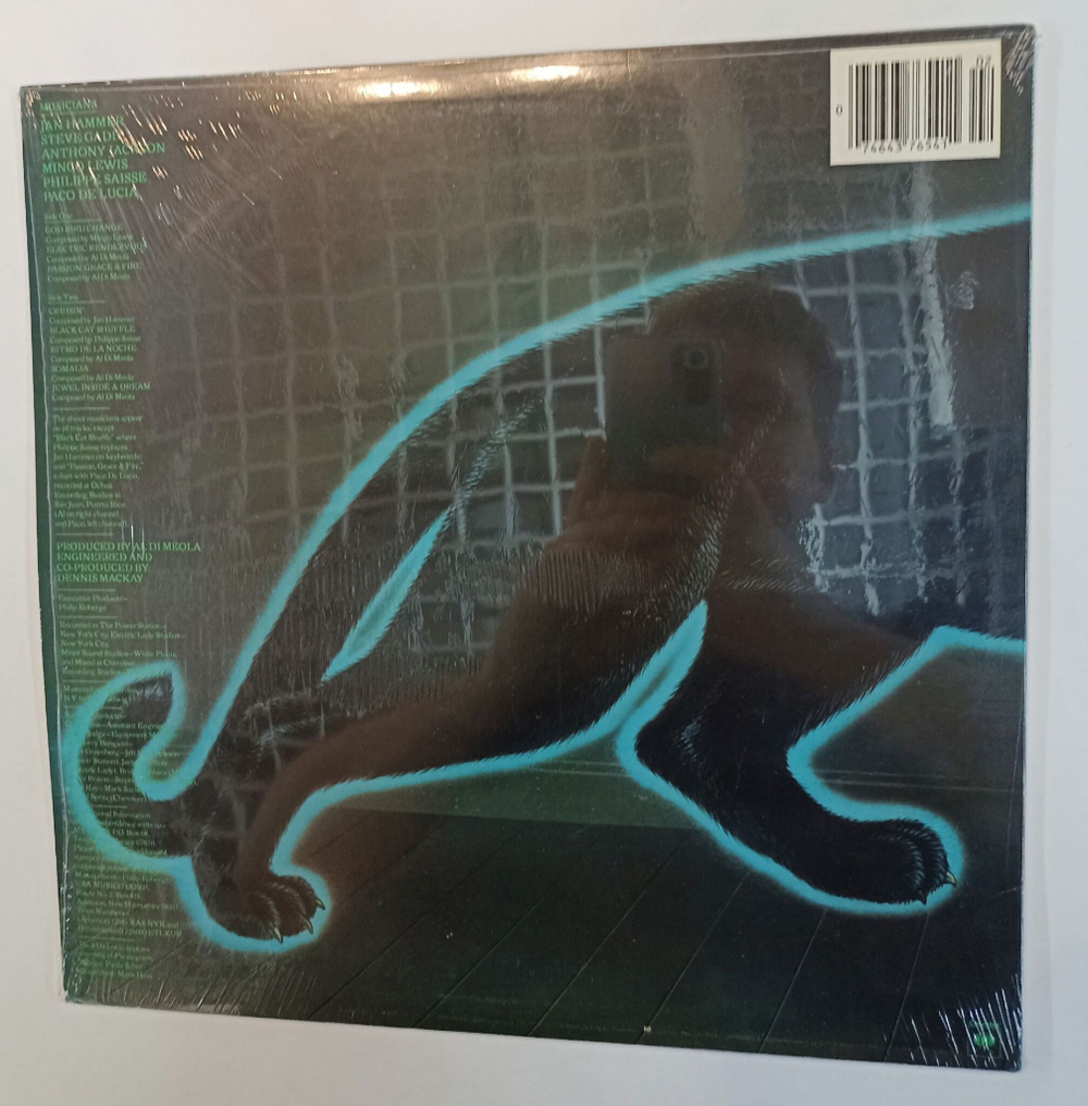 Винтажная виниловая пластинка LP Al Di Meola Electric Rendezvous (USA 1982)