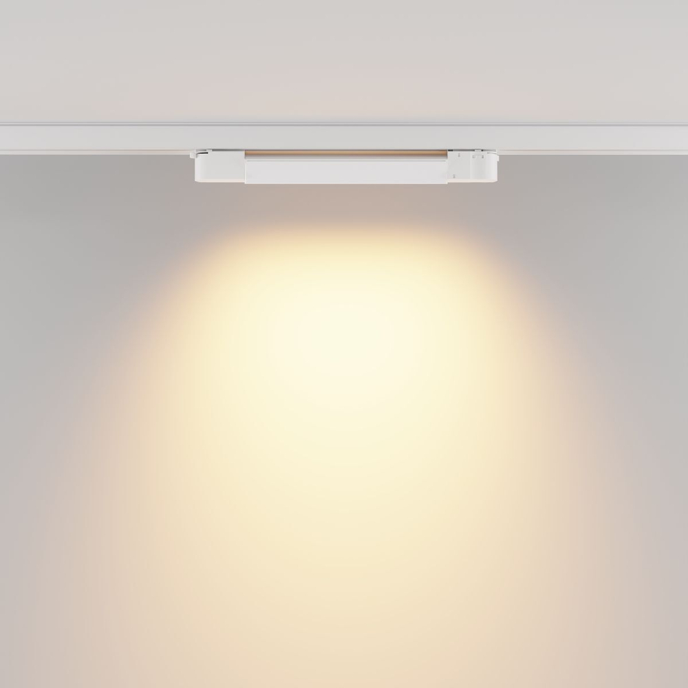Трековый трехфазный светильник Maytoni Basis TR196-3-10W2.7K-W