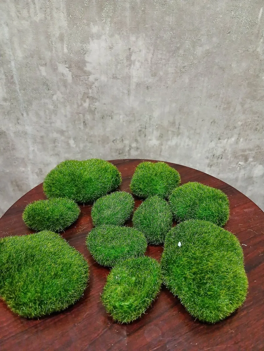 Декоративные камни из мха