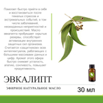 Эфирное масло эвкалипта / Eucalyptus Globulus Oil