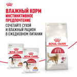 Royal Canin Fit 32 Фит 32 Корм сухой для взрослых умеренно активных кошек от 1 года 4кг