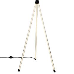 Citilux LUCIA CL217961 Торшер светодиодный Чёрный