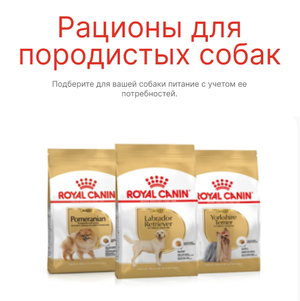 Рационы для породистых собак