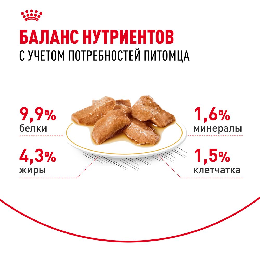 Пауч Royal Canin Maine Coon Adult для взрослых кошек породы Мэйн Кун, мелкие кусочки в соусе Пауч Royal Canin Maine Coon Adult для взрослых кошек породы Мэйн Кун, мелкие кусочки в соусе
