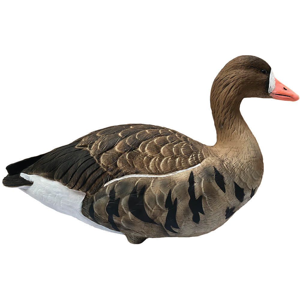 Белолобый гусь "FA LIVE FULL BODY SPECKLEBELLY" (6 штук) FA-197283