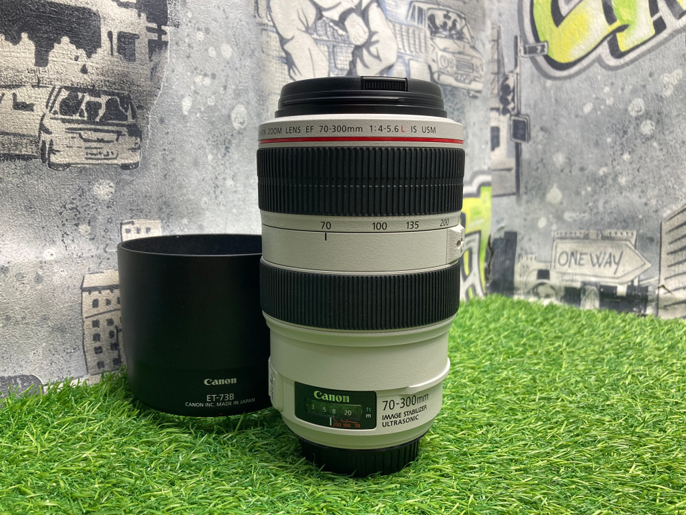 Canon 70-300mm 4-5.6L IS USM