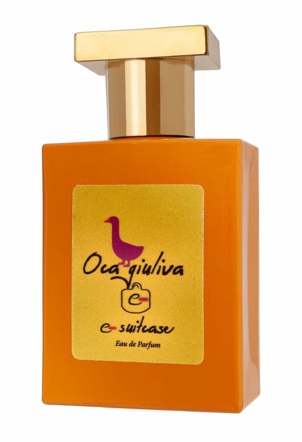 e-Suitcase Oca Giuliva