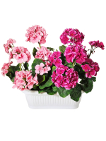 Искусственные цветы Герань вишнево-розовая 40см в балконном ящике