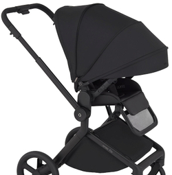 Детская коляска Anex Flo 2 в 1 Lungo